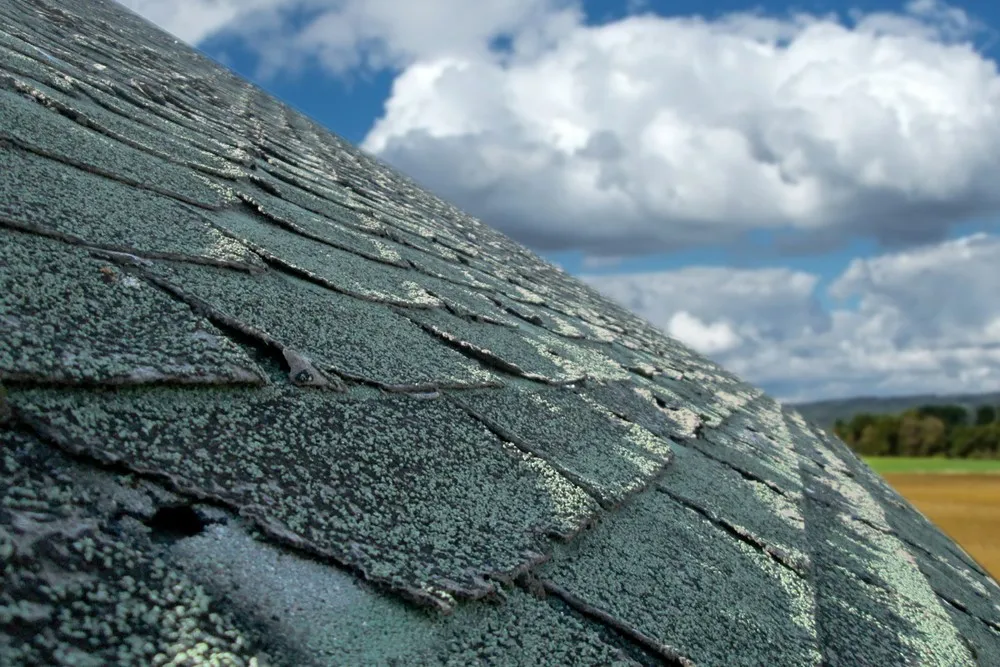 Hail Damaged Roof