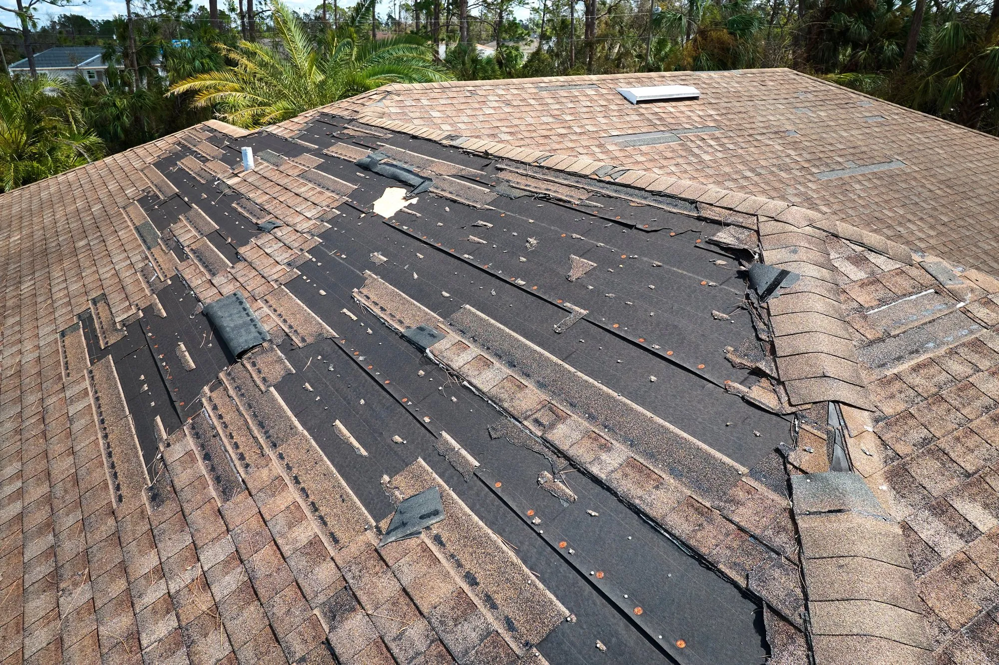 Wind Damage
