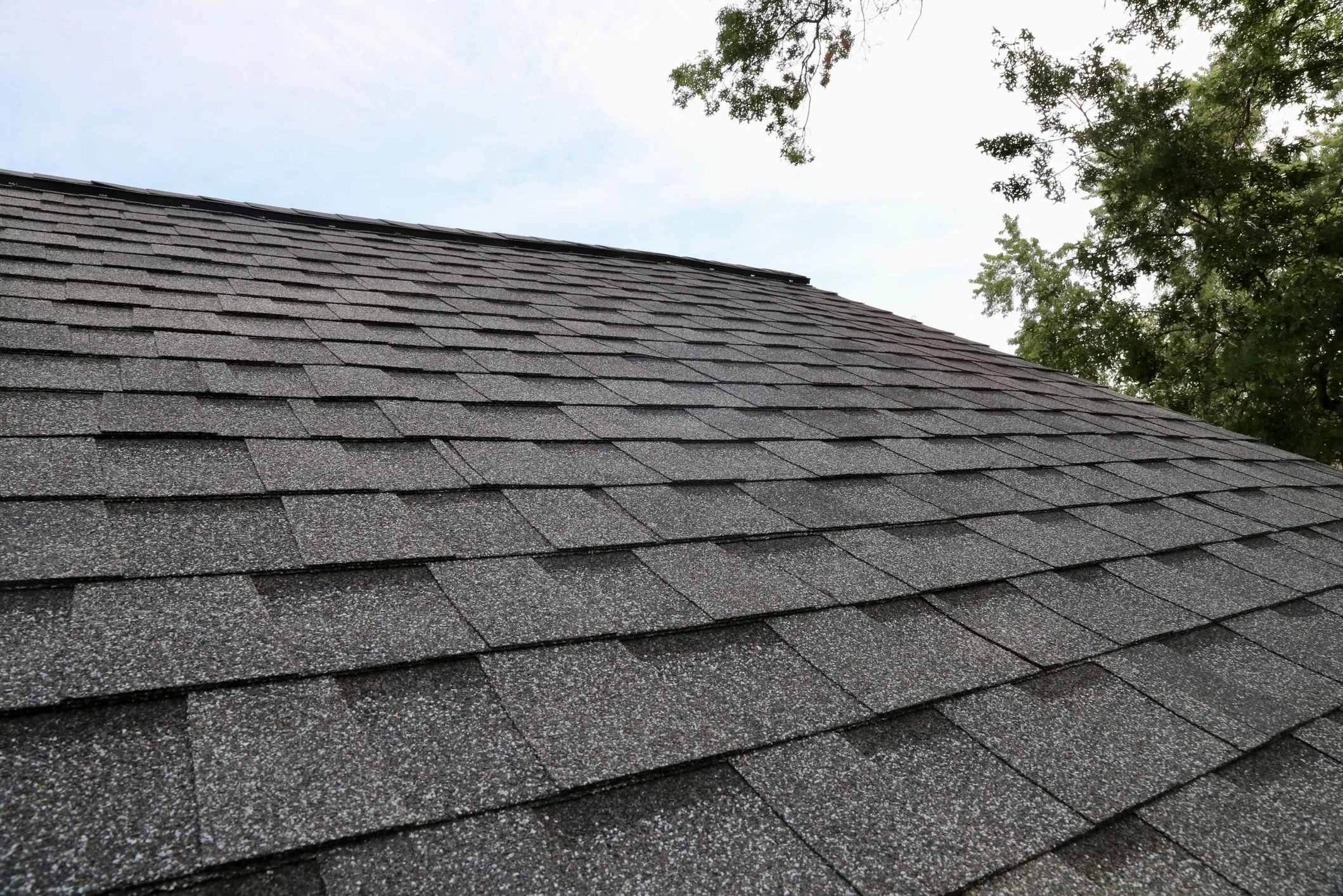 Shingle Roof
